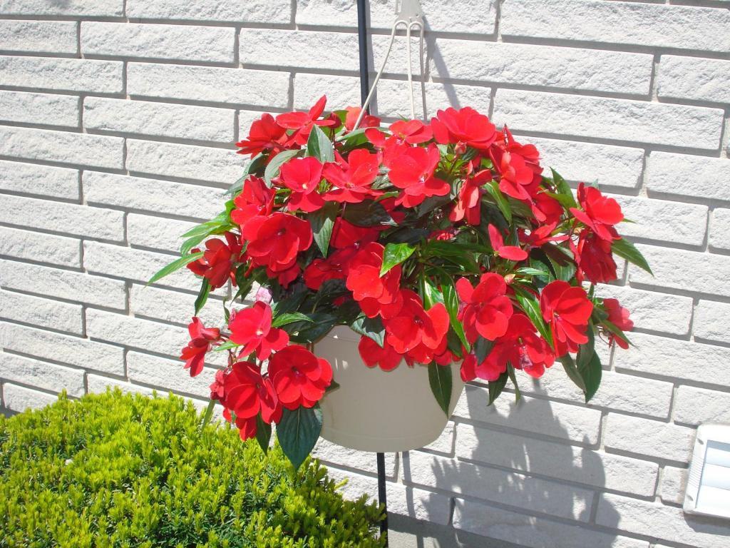 Trillium Bed & Breakfast Niagara Falls Exterior foto