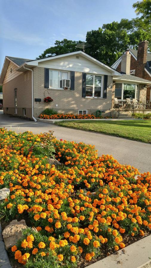 Trillium Bed & Breakfast Niagara Falls Exterior foto